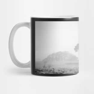 Lone pine in fog Mug